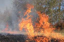 На Херсонщині загорівся ліс