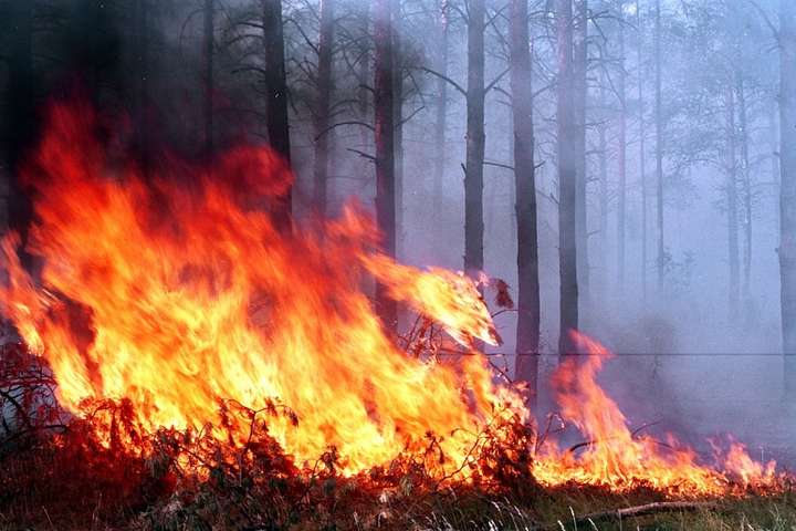 Найближчими днями в Україні - надзвичайна пожежна небезпека