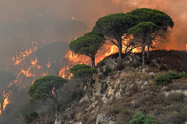 В Італії судитимуть пожежників, які підпалювали ліс, щоб отримати премії за його гасіння