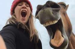 Эти забавные животные: опубликованы снимки победителей конкурса Comedy Pet Photography Awards