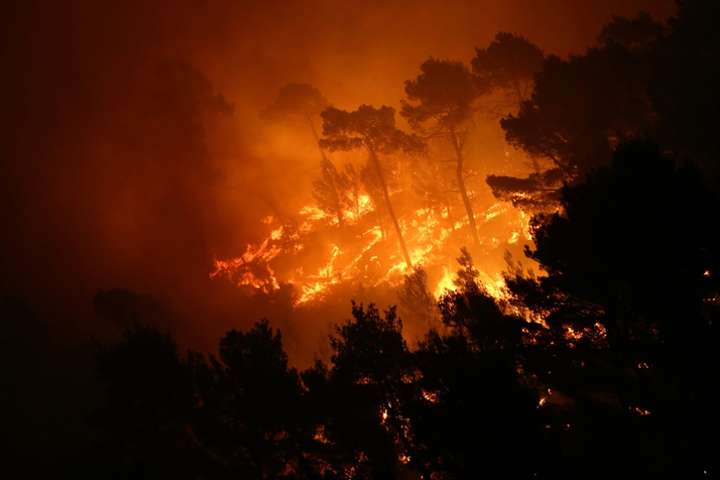 На Сицилії затримали пожежників, які навмисно підпалювали ліси