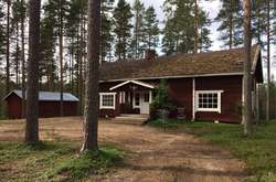 В Финляндии исчезла группа украинцев, приехавших на заработки 