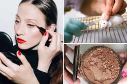 Время перемен: 8 уважительных причин срочно купить новую косметику 