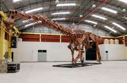 Палеонтологи виявили в Аргентині найбільшого у світі динозавра