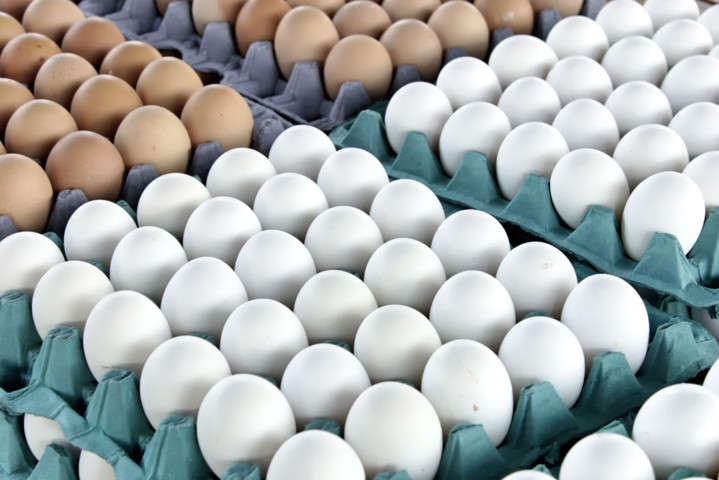 Отруєні інсектицидом яйця виявлені вже в 12 країнах Європи