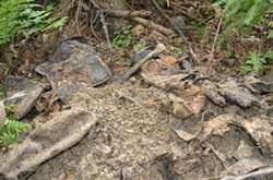 У Китаї затримали «чорних археологів»: вилучено артефактів на $1 млн