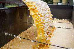  В Іспанії 20 тисяч тонн рідких яєць виявилися зараженими фіпронілом 