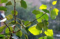 Гарні погодні новини: похолодання вже в дорозі