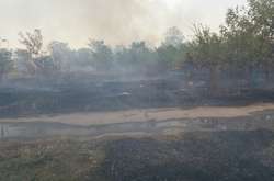 Через аномальну спеку у Запорізькій області горів ліс