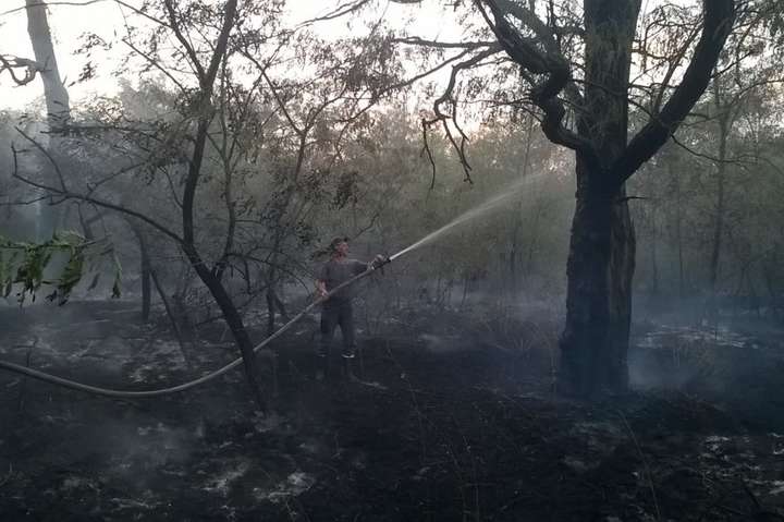 Спека атакує: на Херсонщині гасять лісову пожежу