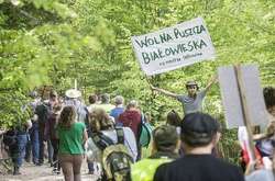 Сотні європейців протестували у Польщі проти вирубки Біловезької пущі
