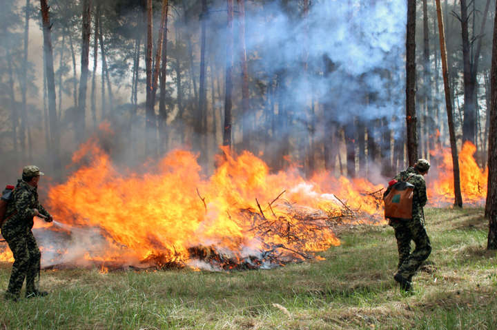 До 17 серпня в Україні зберігатиметься пожежна небезпека