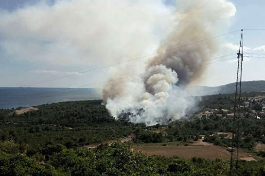 У Чорногорії через аномальну спеку палають ліси біля столиці