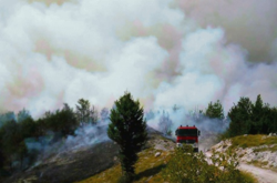 У Чорногорії через аномальну спеку палають ліси біля столиці