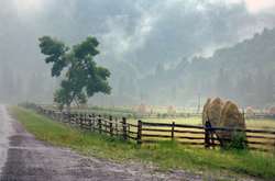 На заході України пройдуть дощі 