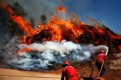 Поліція Португалії затримала 61 підозрюваного у підпалах