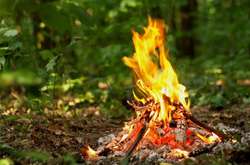 Рятувальники попереджають про високу ймовірність пожеж у найближчі дві доби 