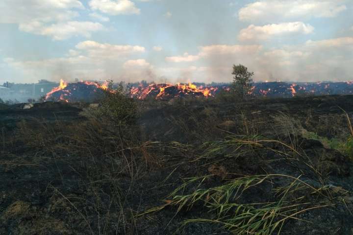 Аномальна спека спричинила масову лісову пожежу під Балаклією на Харківщині