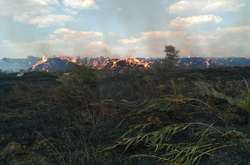 Аномальна спека спричинила масову лісову пожежу під Балаклією на Харківщині