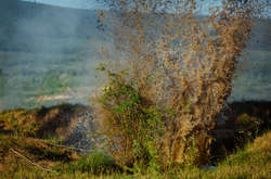 Міноборони повідомило подробиці поранення військового в АТО