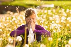 В Google Maps запустили специальную функцию для аллергиков