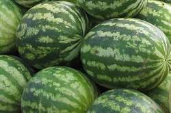 Космические цены на арбузы в Киеве: эксперты дали прогноз