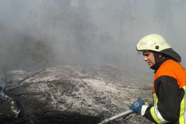 На Київщині масово спалюють сміття