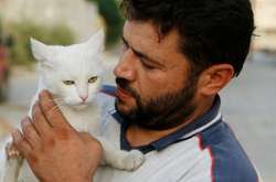 Доброе сердце: Сирийский водитель спасает брошенных кошек в Алеппо