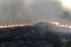 Бойовики почали запалювальними набоями та мінами випалювати сухостої, посадки і навіть будинки мирних мешканців Донбасу