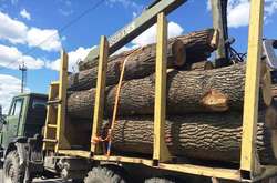 Лісовоз (ілюстраційне фото)