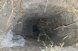 Ще кілька осіб змогли втекти по тунелю назад на територію Мексики