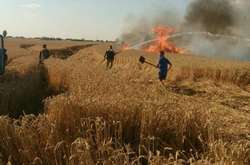 Марчук розповів, як бойовики вчиняють пожежі на Донбасі