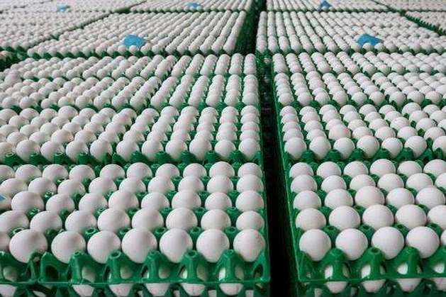 В Угорщині виявили великі партії отруйних яєць