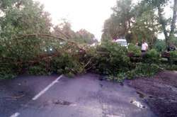 Негода на Вінниччині влаштувала армагеддон