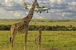 Самые забавные фото с Comedy Wildlife Photography Awards 2017