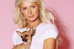 Пэрис Хилтон построила особняк для своих домашних животных