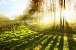 Фото:&nbsp;wallpaperswide.com