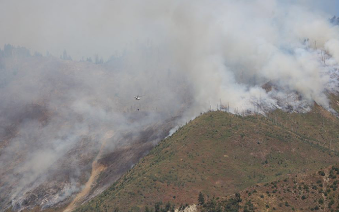  Україна допоможе гасити масштабну лісову пожежу у Грузії