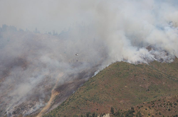  Україна допоможе гасити масштабну лісову пожежу у Грузії