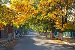 Якою буде погода в Україні 1 вересня