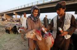 Праздник жертвоприношения: как мусульмане отмечают Курбан-байрам