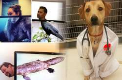 Наши руки не для скуки: 20 творческих примеров того, как убить время на работе 