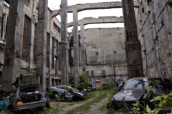 В Николаеве обнаружили подпольное «кладбище» BMW 