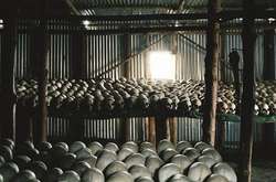 Фотограф показал самые трагические достопримечательности мира