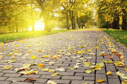 Сьогодні в Україні потеплішає, але подекуди дощитиме