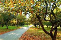 В Україні на вихідних значно потеплішає