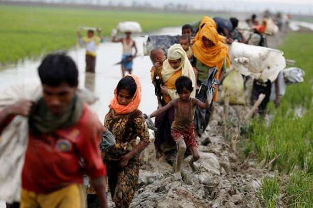 ООН повідомляє про збільшення біженців мусульман-рохінджа з М’янми