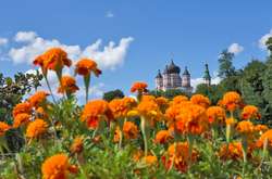 У вівторок очікується до 30 градусів тепла