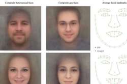 Гей или натурал? Искусственный интеллект сможет определять ориентацию по фотографии