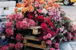 Нью-йоркский художник превратил стройплощадку в клумбу